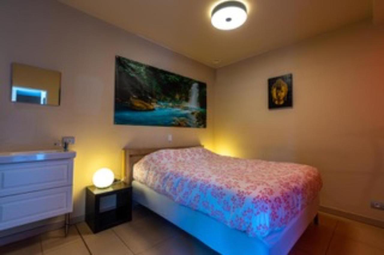 Vlaamse Ardennen Vakantiehuis Casa Caliente Met Wellness Avelgem Екстериор снимка